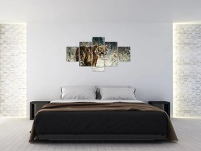Obraz - Tygrys w zaśnieżonym lesie, obraz olejny (125x70 cm)