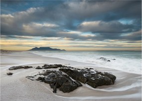 Obraz - Robben Island (70x50 cm)