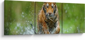 Obraz - Biegnący tygrys (z zegarem) (90x30 cm)