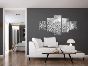 Obraz - Beżowa miękka trawa N⁰1 (125x70 cm)