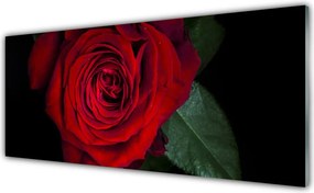 Panel Szklany do Kuchni Elegancka Róża W Zbliżeniu