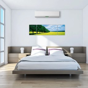 Obraz pola z aleją (170x50 cm)