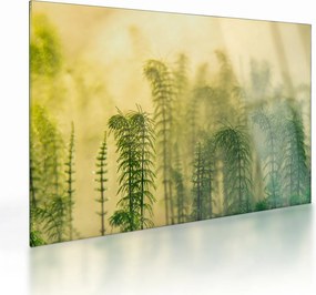 Obraz na szkle - Szczegół wiosennej mglistej przyrody (70x50 cm)