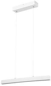 Biała lampa wisząca LED 60 cm z drewna jesionowego L60KB-4K-WEIß wymie