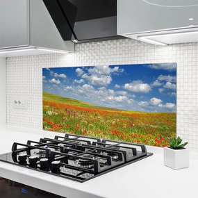 Panel Kuchenny Sielski Pejzaż Polny