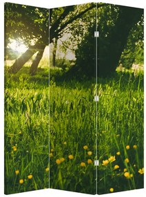 Parawan - Łąka (126x170 cm)