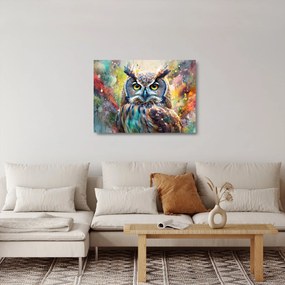 Obraz na szkle - Malowanie sowy (70x50 cm)