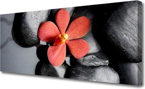 Obraz na płótnie Równowaga Zen: Kwiat i Skała