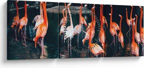 Obraz stada flamingów (z zegarem) (90x30 cm)