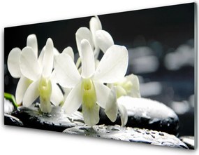 Szkło Ozdobne do Kuchni Orchidea na Rzecznych Kamieniach