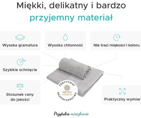 Ręcznik CARRARA 40x55 cm jasnoszary, 100% bawełna