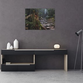Obraz - W lesie (70x50 cm)
