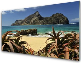 Szkło do Kuchni na Ścianę Skaliste Wybrzeże Oceanu