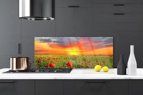 Panel Szklany Maki w Blasku Słońca