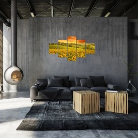 Obraz - Pole słoneczników (125x70 cm)