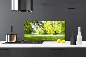 Panel Szklany Trawa Drzewa Park Przyroda