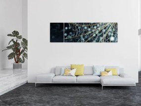 Obraz - Kwiat z pajęczyną (170x50 cm)