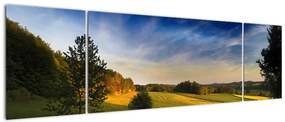 Obraz - Górska łąka (170x50 cm)