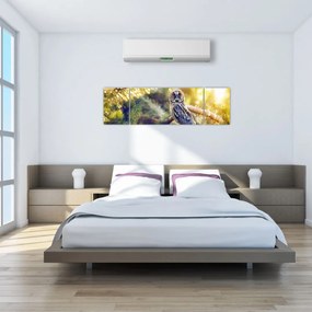 Obraz sowy na drzewie (170x50 cm)