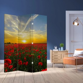 Parawan - Pole maków (126x170 cm)