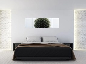 Obraz kuli kwiatowej (170x50 cm)