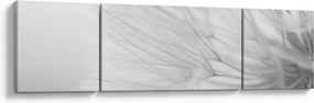 Obraz - Mniszek lekarski (170x50 cm)