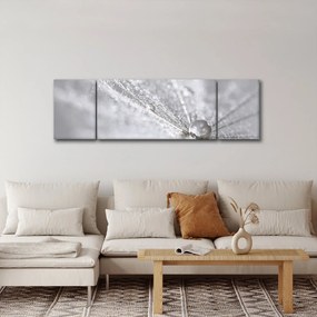 Obraz - Kropla wody (170x50 cm)