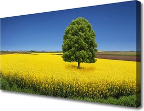 Zdjęcie na płótnie Samotne Drzewo w Polu