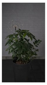 Ogrodowa lampa solarna LED z białymi diodami Star Trading Firework, wys. 100 cm