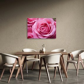 Obraz na szkle róży (70x50 cm)