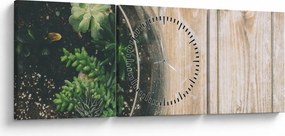Obraz sukulentów w szkle (z zegarem) (90x30 cm)