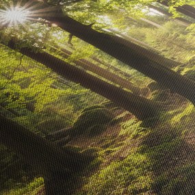 Obraz sennego lasu (170x50 cm)