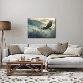 Obraz - Lecący orzeł (70x50 cm)