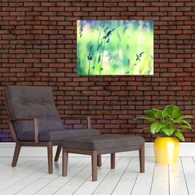 Obraz - Szczegół łąki (70x50 cm)