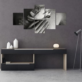 Obraz - Lotos w rękach Buddy (125x70 cm)