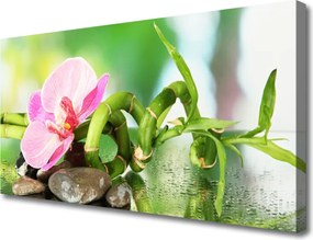 Obraz canvas na ścianę Świeże Pędy Zielonego Bambusa