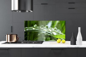 Panel Szklany do Kuchni Krople Rosy na Źdźbłach