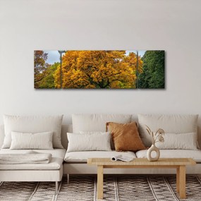 Obraz drzewa (170x50 cm)
