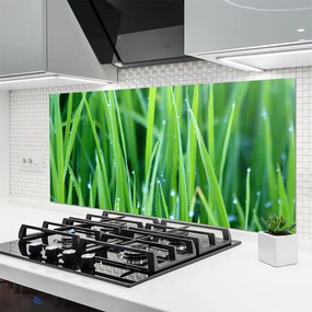 Panel nad blat kuchenny Poranna Świeżość Trawy