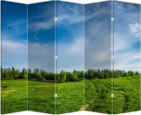 Parawan - Łąka (210x170 cm)