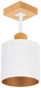 Biała lampa sufitowa, jednopunktowy spot CL-DWE10x10BU-WE z drewna E27