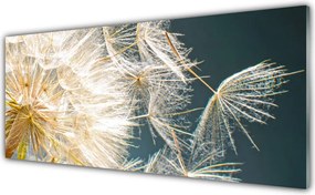 Panel Szklany do Kuchni Lekkość Mniszka Lekarskiego