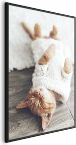 Plakat Leniwy kot 29,7x42 cm z ramą czarną bez marginesu ARTGEIST B