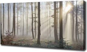 Duży Foto obraz na płótnie Mgła w lesie