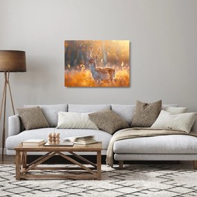 Obraz na szkle - Jeleń na polu (70x50 cm)