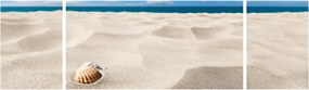 Obraz - Muszle na plaży (170x50 cm)