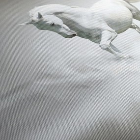 Obraz - Biały koń (125x70 cm)