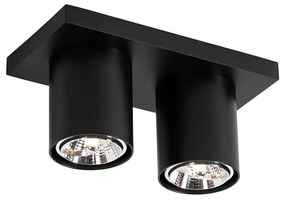 Nowoczesny Plafon / Reflektorek / Spot / Spotow / Lampy sufitowe czarny 2-punktowy - Tubo Nowoczesny Oswietlenie wewnetrzne