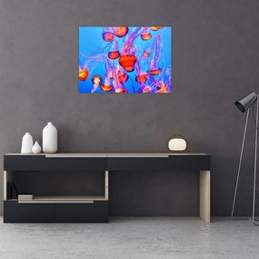 Obraz meduz w morzu (70x50 cm)