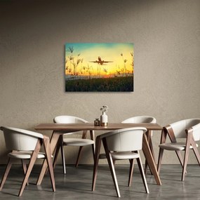 Obraz na szkle - startujący samolot (70x50 cm)